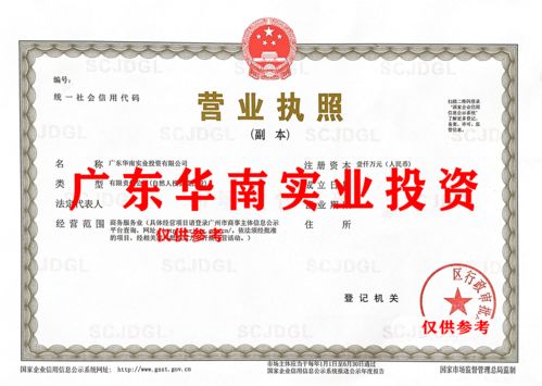 廣東華南實(shí)業(yè)公司數(shù)據(jù)處理和存儲支持服務(wù)轉(zhuǎn)讓公告