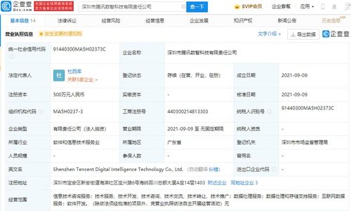 數據處理與存儲支持服務 構建智能時代的數字基石